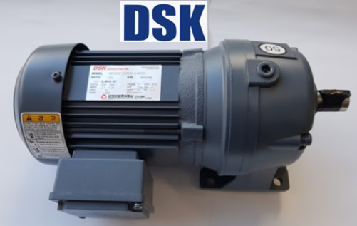 Động cơ DSK MFG42T-100RS1.5-4