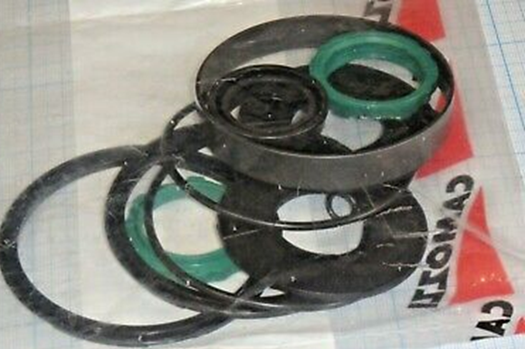 Gioăng phớt Camozzi