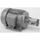 Động cơ bơm thuỷ lực