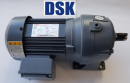 Động cơ DSK MFGB32T-50RL 0.75-4