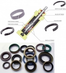 Gioăng phớt dingzing