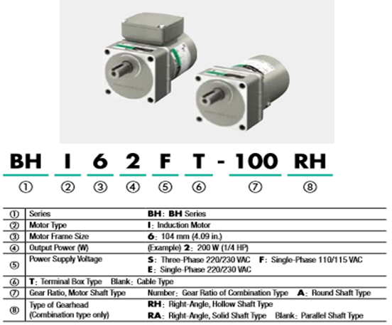 Động cơ Oriental motor BHI62FT-100RH