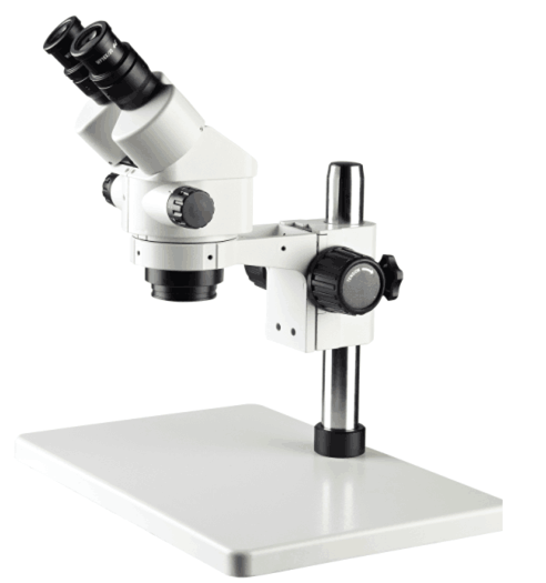 Kính hiển vi etscope