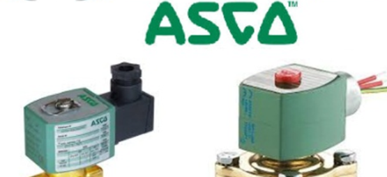 Cuộn coil van điện từ Asco 43005153