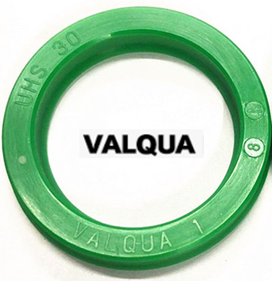 Gioăng phớt VALQUA UHS14x22x5