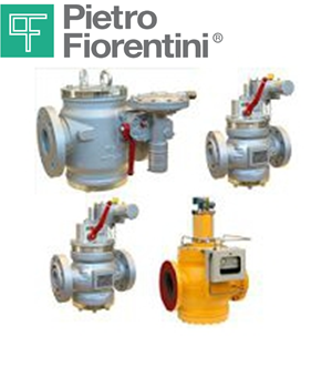 Van Pietro Fiorentini 30164 DN40